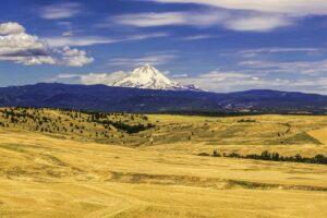 mt hood urban comfort